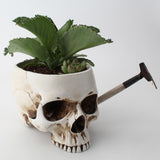Maxbell Modern Resin Skull Head Flower Pot Planter Container for Home Garden Decor