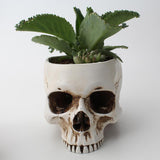 Maxbell Modern Resin Skull Head Flower Pot Planter Container for Home Garden Decor