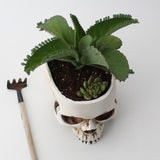 Maxbell Modern Resin Skull Head Flower Pot Planter Container for Home Garden Decor