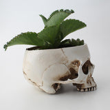 Maxbell Modern Resin Skull Head Flower Pot Planter Container for Home Garden Decor