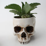 Maxbell DIY Halloween Skull Shape Concrete Plant Flower Pot