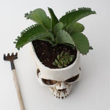 Maxbell DIY Halloween Skull Shape Concrete Plant Flower Pot
