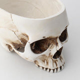 Maxbell DIY Halloween Skull Shape Concrete Plant Flower Pot