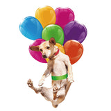 Car Hanging Pendant Ornaments with Colorful Balloons Pastoral Dog