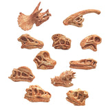Maxbell Dinosaur Skull Model Simulated Fossil Home Decor Decrative Teaching Prop light brown