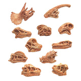 Maxbell Dinosaur Skull Model Simulated Fossil Home Decor Decrative Teaching Prop light brown