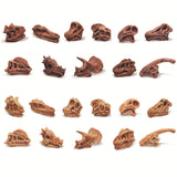 Maxbell Dinosaur Skull Model Simulated Fossil Home Decor Decrative Teaching Prop light brown