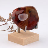 Maxbell Crystal Mineral Display Holder Organizer Wood Base Unique Multipurpose