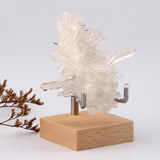 Maxbell Crystal Mineral Display Holder Organizer Wood Base Unique Multipurpose