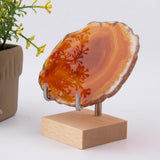 Maxbell Crystal Mineral Display Holder Organizer Wood Base Unique Multipurpose