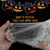 Maxbell Halloween Cobwebs with 30 Fake Spiders Realistic Cobwebs Windows