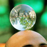 Maxbell Scenery Supplies Multi Use Decoration Photography Accessories 6cm