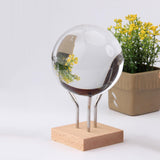 Maxbell Display Stand Base Holder Ball Stand Wood Base for Office Collectibles Decor