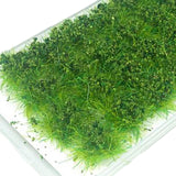 Maxbell Bushy Cluster Grass Tufts Miniature Static Scenery Model Railway DIY Decors 28 strains jungle green