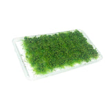 Maxbell Bushy Cluster Grass Tufts Miniature Static Scenery Model Railway DIY Decors 28 strains jungle green
