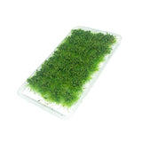 Maxbell Bushy Cluster Grass Tufts Miniature Static Scenery Model Railway DIY Decors 28 strains jungle green