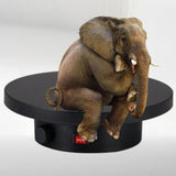 Maxbell 360 Degree Rotating Display Stand Display Table for Photography Live Video Black