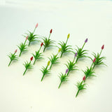Maxbell 30Pcs Grass Tufts Model Flower Model for Miniature Scenery  Decor 3.5cm