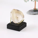 Maxbell Maxbell Display Holder PU Leather Decoration for Small Collectibles Rocks Coral S