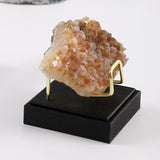 Maxbell Maxbell Display Holder PU Leather Decoration for Small Collectibles Rocks Coral M