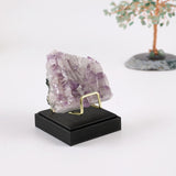 Maxbell Maxbell Display Holder PU Leather Decoration for Small Collectibles Rocks Coral M