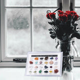 Maxbell 24x Xmas Advent Calendar Geography Surprise for Decoration Christmas Kids