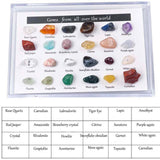 Maxbell 24x Xmas Advent Calendar Geography Surprise for Decoration Christmas Kids