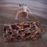 Maxbell Fish Tank Decoration Trunk Landscaping Eco Friendly Crafts for Fish Favors