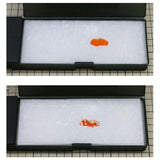 Maxbell Paint Storage Box Watercolor Tray for Action Figures Model Car Dolls