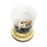 Maxbell Infant Jesus Figurine Miniature Sculpture Resin Statue for Home Decor Gifts