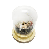 Maxbell Infant Jesus Figurine Miniature Sculpture Resin Statue for Home Decor Gifts