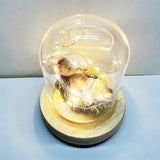 Maxbell Infant Jesus Figurine Miniature Sculpture Resin Statue for Home Decor Gifts