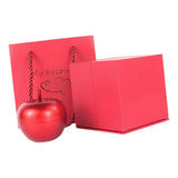 Maxbell Ring Box Holiday Gift Box Modern Easy to Clean Multifunction for Brooch PP