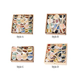 Maxbell Deluxe Rock and Mineral Collection Discovery Treasure for Ages 4 + Decors style A