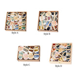 Maxbell Deluxe Rock and Mineral Collection Discovery Treasure for Ages 4 + Decors style A