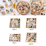 Maxbell Deluxe Rock and Mineral Collection Discovery Treasure for Ages 4 + Decors style A