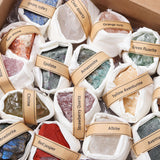 Maxbell Deluxe Rock and Mineral Collection Discovery Treasure for Ages 4 + Decors style A