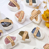 Maxbell Deluxe Rock and Mineral Collection Discovery Treasure for Ages 4 + Decors style A