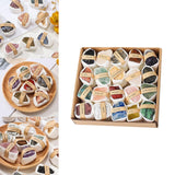 Maxbell Deluxe Rock and Mineral Collection Discovery Treasure for Ages 4 + Decors style A