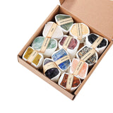 Maxbell Deluxe Rock and Mineral Collection Discovery Treasure for Ages 4 + Decors style B