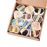 Maxbell Deluxe Rock and Mineral Collection Discovery Treasure for Ages 4 + Decors style B