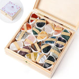 Maxbell Deluxe Rock and Mineral Collection Discovery Treasure for Ages 4 + Decors style D