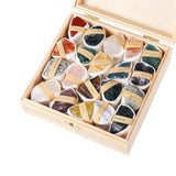 Maxbell Deluxe Rock and Mineral Collection Discovery Treasure for Ages 4 + Decors style D