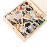 Maxbell Deluxe Rock and Mineral Collection Discovery Treasure for Ages 4 + Decors style D