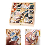 Maxbell Deluxe Rock and Mineral Collection Discovery Treasure for Ages 4 + Decors style D