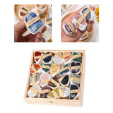 Maxbell Deluxe Rock and Mineral Collection Discovery Treasure for Ages 4 + Decors style D