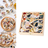 Maxbell Deluxe Rock and Mineral Collection Discovery Treasure for Ages 4 + Decors style D