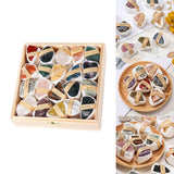 Maxbell Deluxe Rock and Mineral Collection Discovery Treasure for Ages 4 + Decors style D