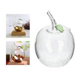 Maxbell Piggy Bank Cute Figurine Statue Transparent Money Box for Office Shelf