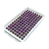 Maxbell Artificial DIY Miniature Flower Cluster Model for Decoration Amaranth